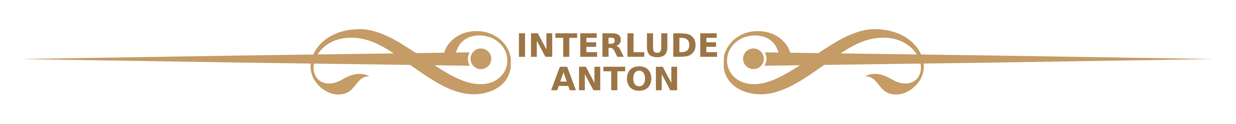 Interlude - Anton POV